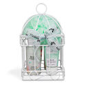 Beauty Flowers Cage Set Beauty Flowers Cage Set